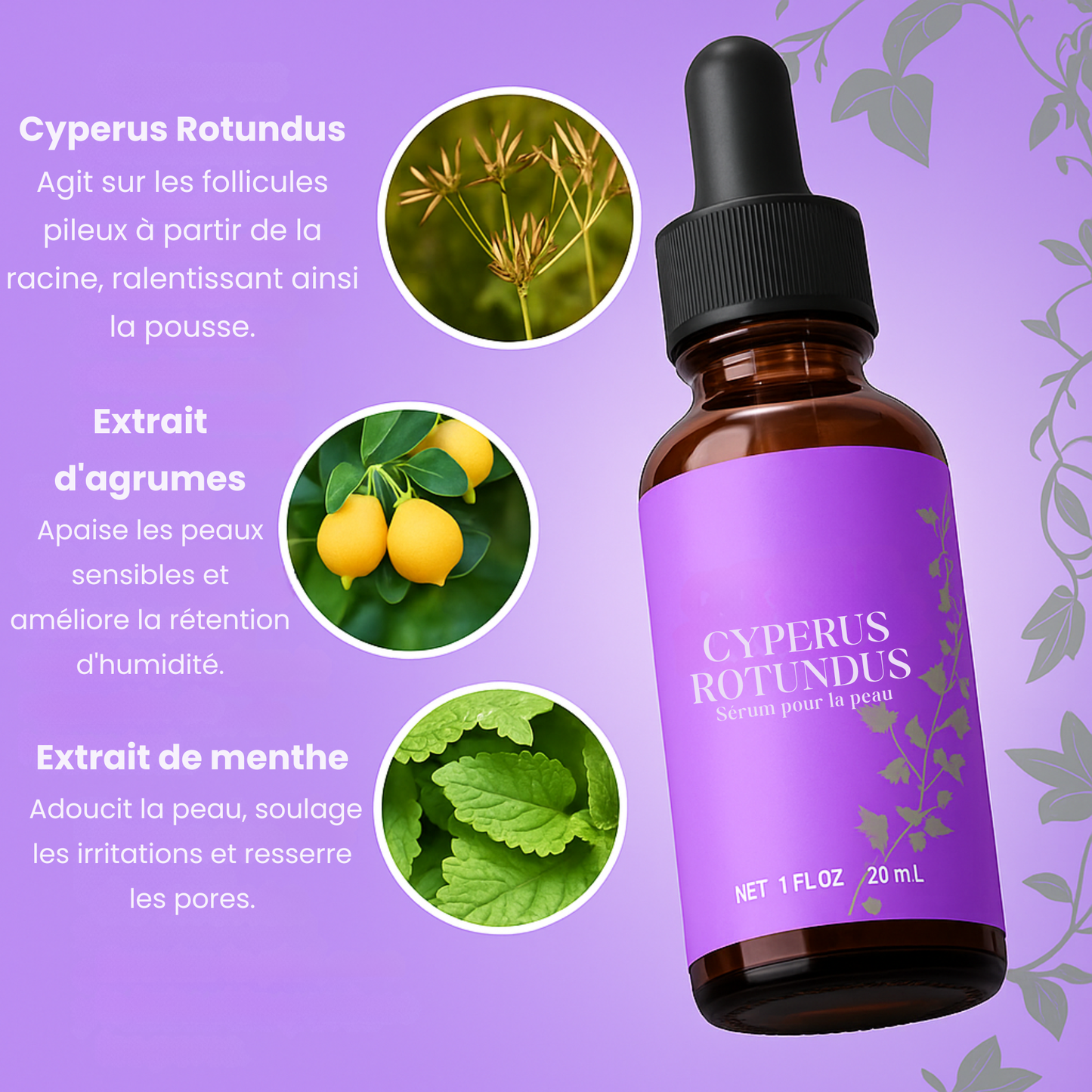 CYPERUS ROTUNDUS – Sérum pour la peau